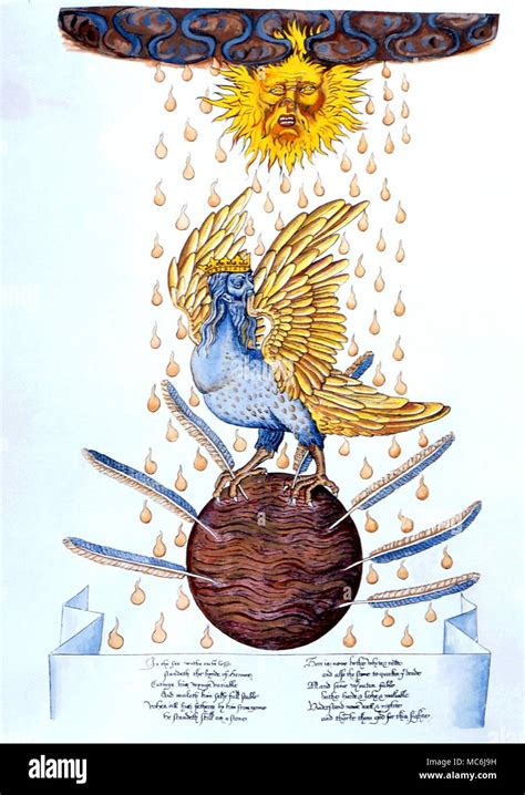 the bird of hermes meaning.